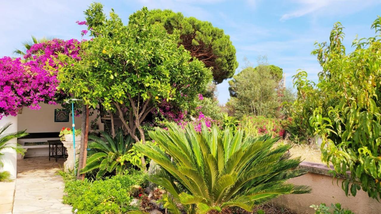 Villa Provencale A Sainte Maxime, Golf De Saint Tropez Exterior foto